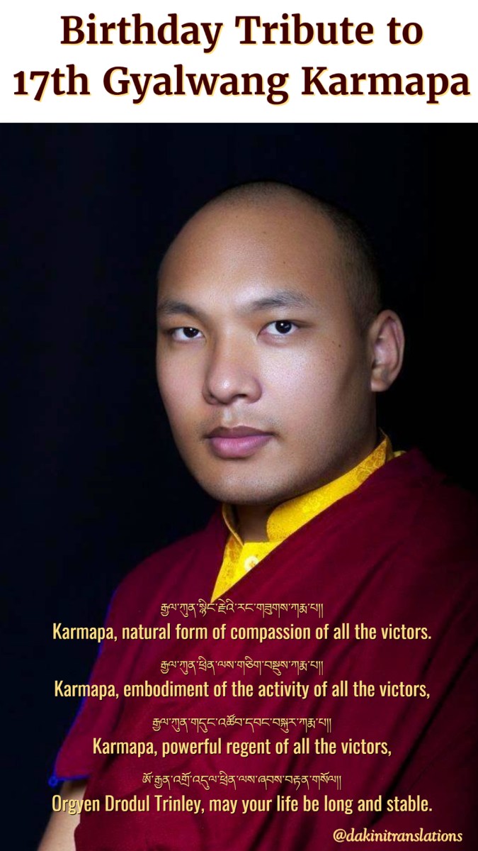 A 21st CENTURY TIBETAN ‘POLYMATH RENAISSANCE GENIUS’, 17th KARMAPA ...